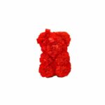 Teddy Bear Foam Red 9